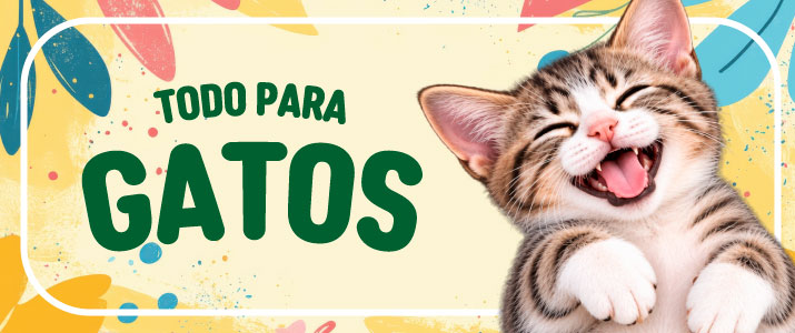 gato